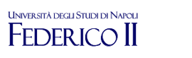 University of Napoli Federico II logo
